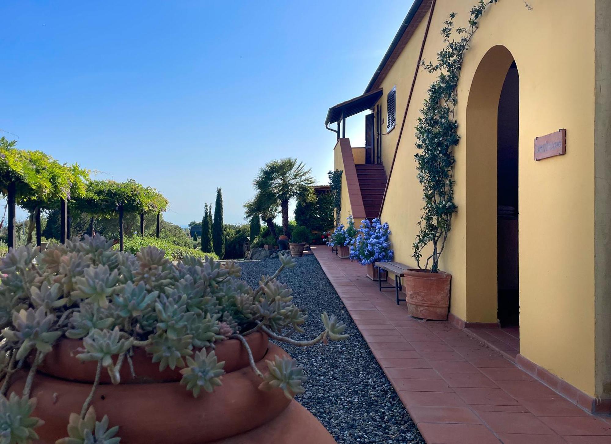 Serra Destri Riparbella Exterior photo